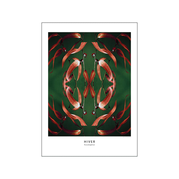 Eucalyptus — Art print by Muriel de Seze from Poster & Frame