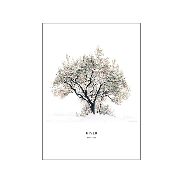 Provence — Art print by Muriel de Seze from Poster & Frame