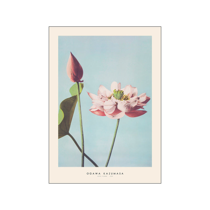 Ogawa Kazumasa - Lotus flower — Art print by Japandi x PSTR Studio from Poster & Frame