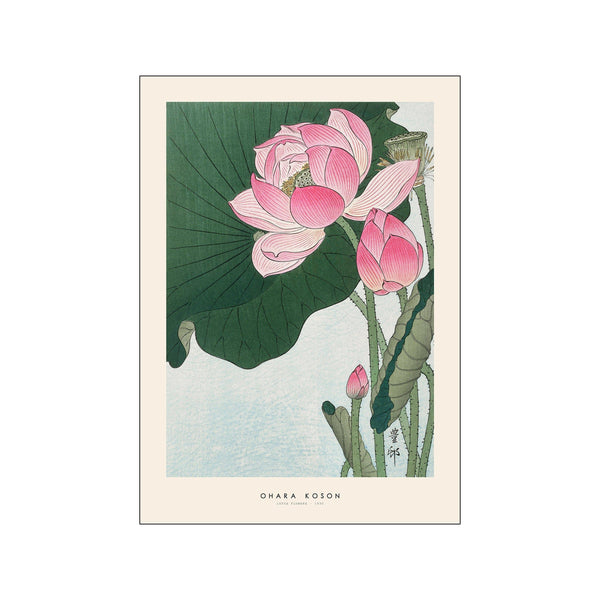 Ohara Koson - Lotus flowers — Art print by Japandi x PSTR Studio from Poster & Frame