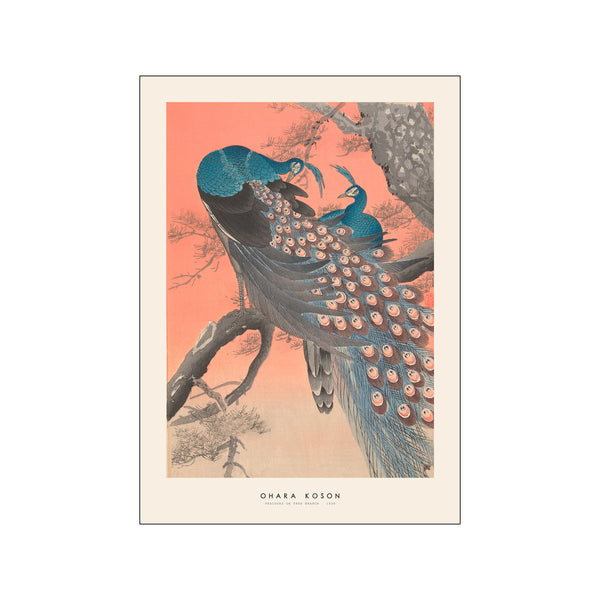 Ohara Koson - Peacock on tree branch — Art print by Japandi x PSTR Studio from Poster & Frame