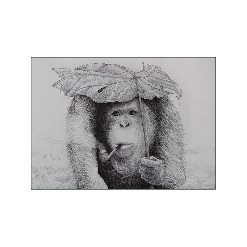 Orangutan Smoking Pipe — Art print by Morten Løfberg from Poster & Frame