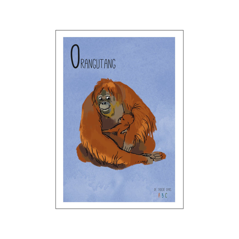 Orangutang — Art print by Line Malling Schmidt from Poster & Frame