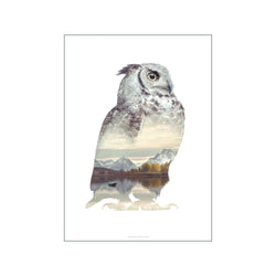 Owl — Art print by Faunascapes from Poster & Frame
