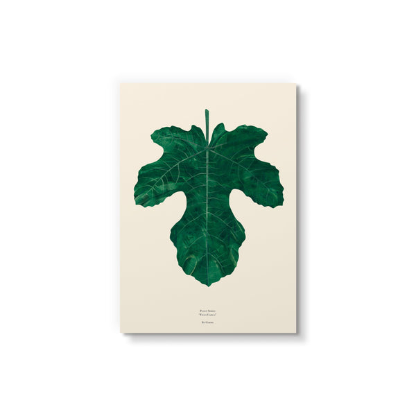 Fig Leaf - Art Card