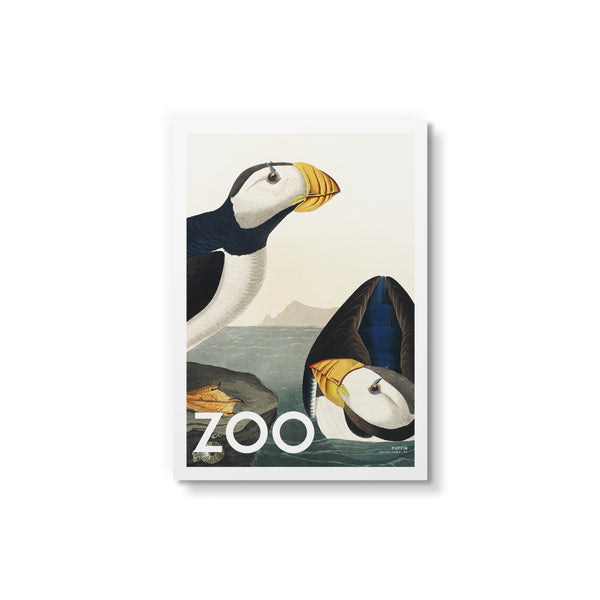 Zoo - Collection No 5 - Art Card