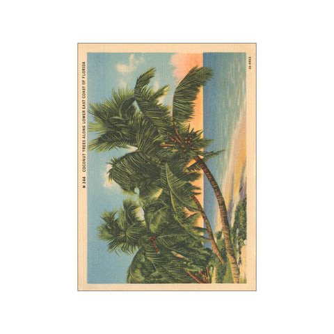 Florida Postcard III - Art Card