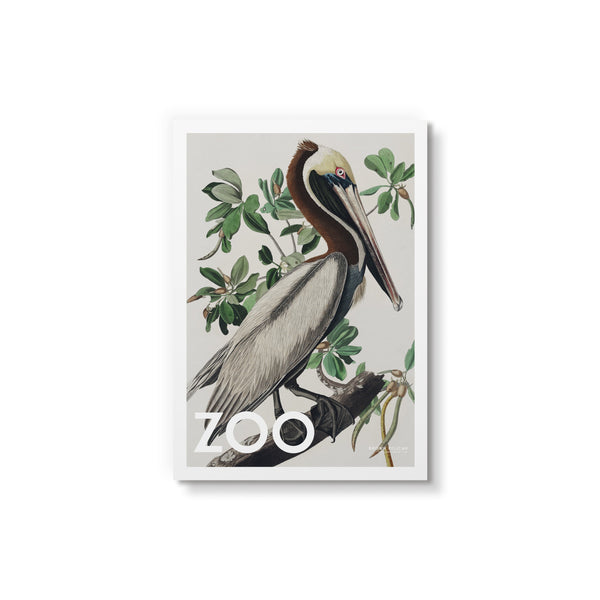 Zoo - Collection No 3 - Art Card