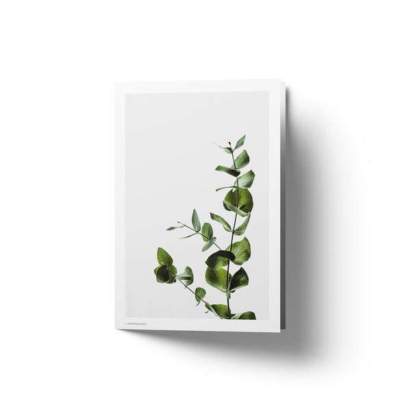 Eucalyptus No 2 - Art Card