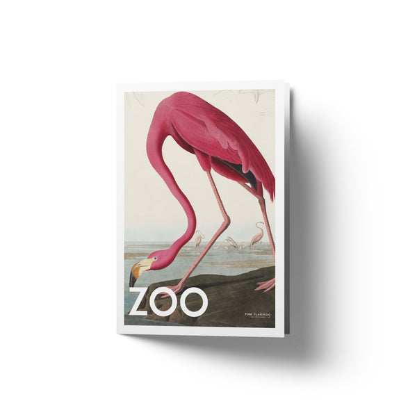 Zoo - Collection No 4 - Art Card