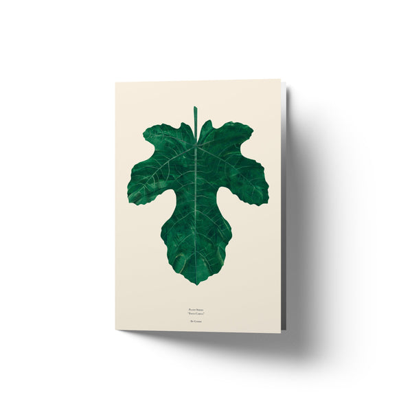 Fig Leaf - Art Card