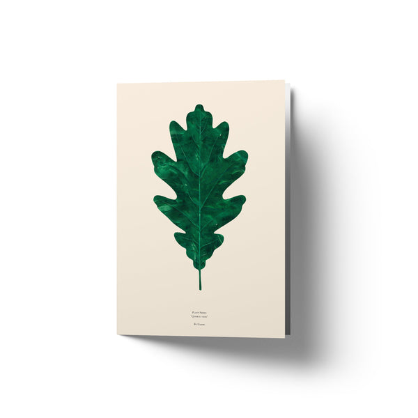 Oak Leaf - Art Card