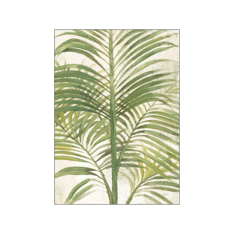Palms II Bright — Art print by Wild Apple from Poster & Frame