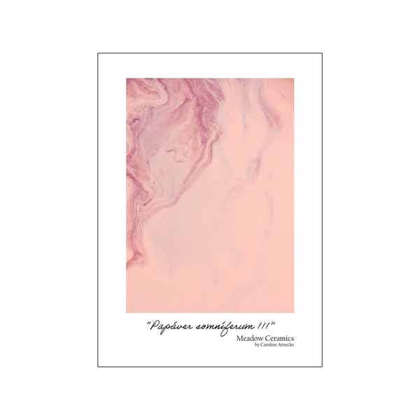 Papáver somníferum III — Art print by Meadow Ceramics from Poster & Frame