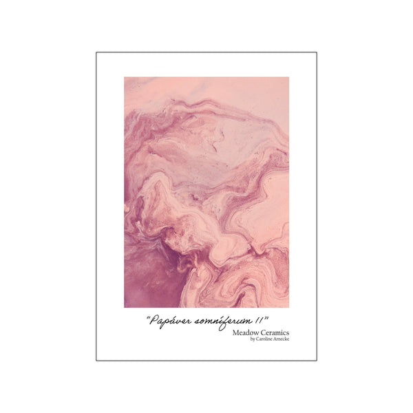 Papáver somníferum II — Art print by Meadow Ceramics from Poster & Frame