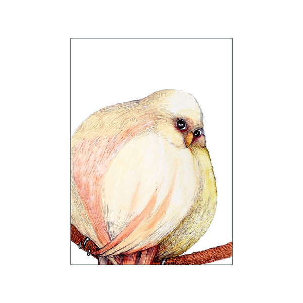 Peach Bird — Art print by Ida Noack from Poster & Frame