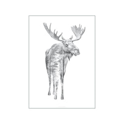Pencil Moose — Art print by Faunascapes from Poster & Frame