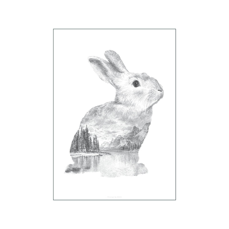 Pencil Rabbit — Art print by Faunascapes from Poster & Frame