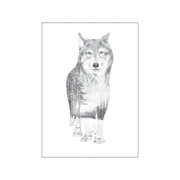 Pencil Wolf — Art print by Faunascapes from Poster & Frame
