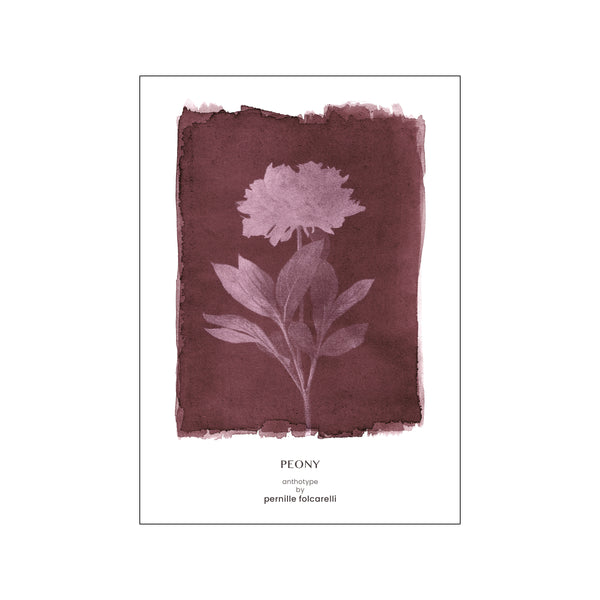 Peony plum — Art print by Pernille Folcarelli from Poster & Frame