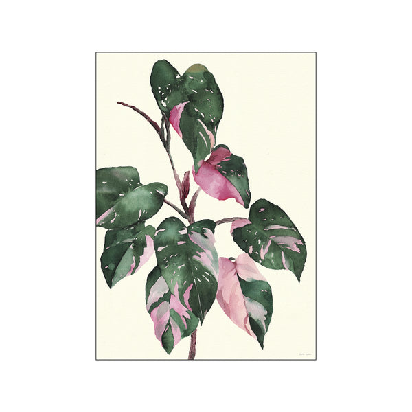 Philodendron — Art print by Dorthe Svarrer from Poster & Frame