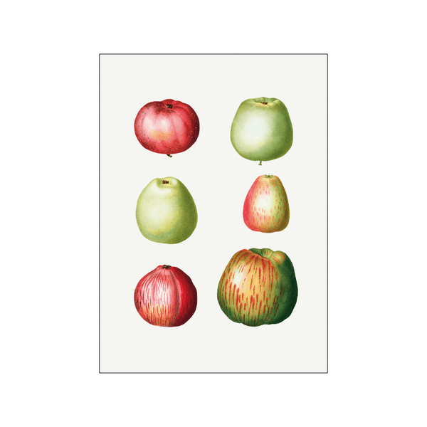 Apple Malus Communis 01 — Art print by Pierre-Joseph Redoute de Kerchove de Denterghem from Poster & Frame