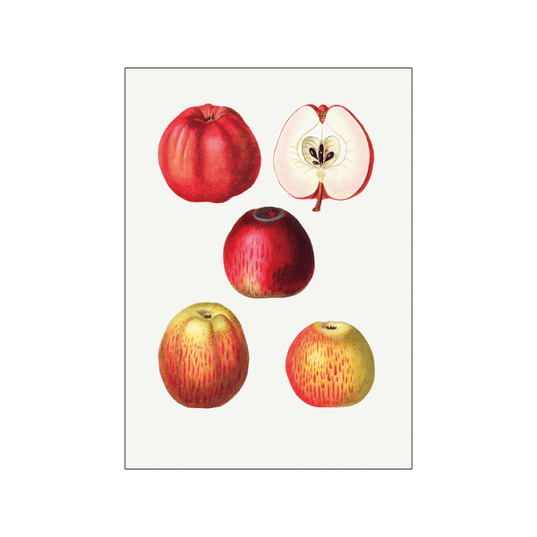 Apple Malus Communis 02 — Art print by Pierre-Joseph Redoute de Kerchove de Denterghem from Poster & Frame