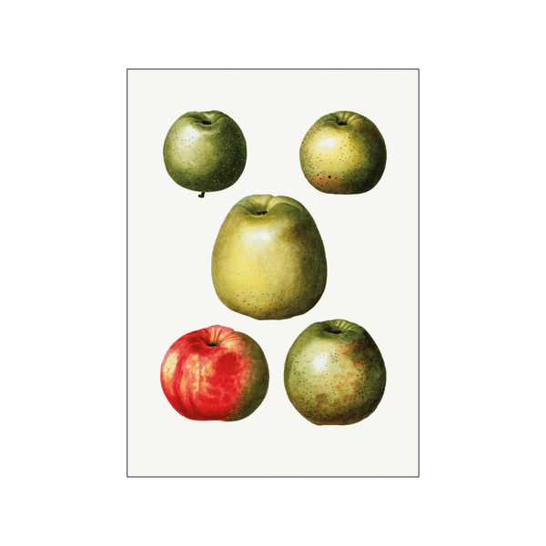 Apple Malus Communis 03 — Art print by Pierre-Joseph Redoute de Kerchove de Denterghem from Poster & Frame