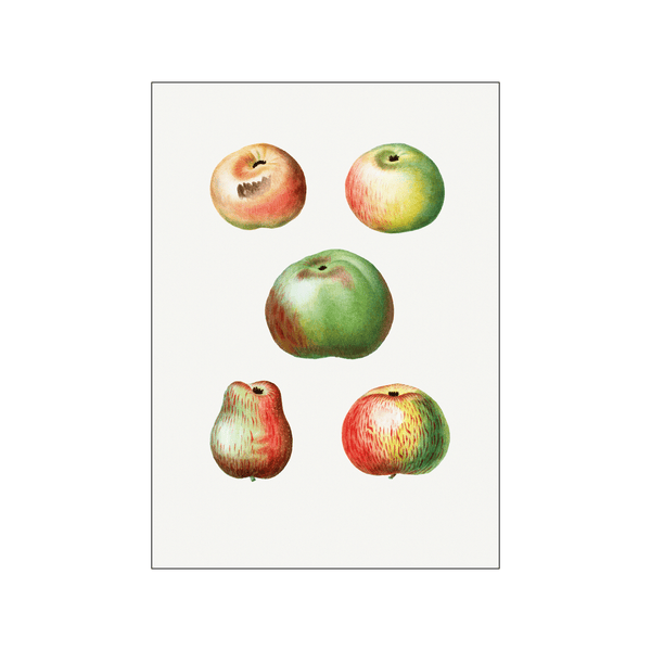 Apple Malus Communis 04 — Art print by Pierre-Joseph Redoute de Kerchove de Denterghem from Poster & Frame