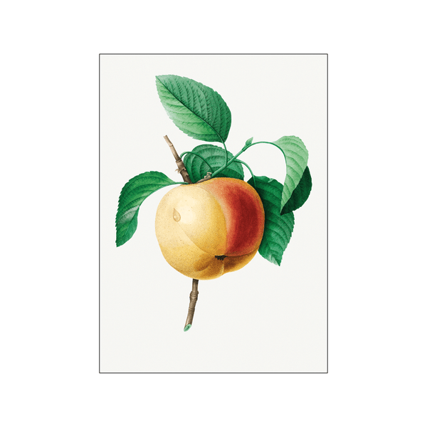 Apple — Art print by Pierre-Joseph Redoute de Kerchove de Denterghem from Poster & Frame