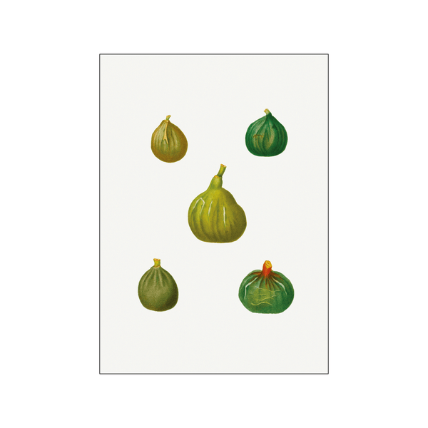 Figs — Art print by Pierre-Joseph Redoute de Kerchove de Denterghem from Poster & Frame