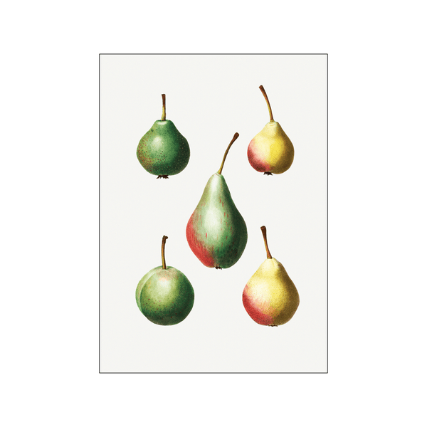 Pear Pyrus Communis 01 — Art print by Pierre-Joseph Redoute de Kerchove de Denterghem from Poster & Frame