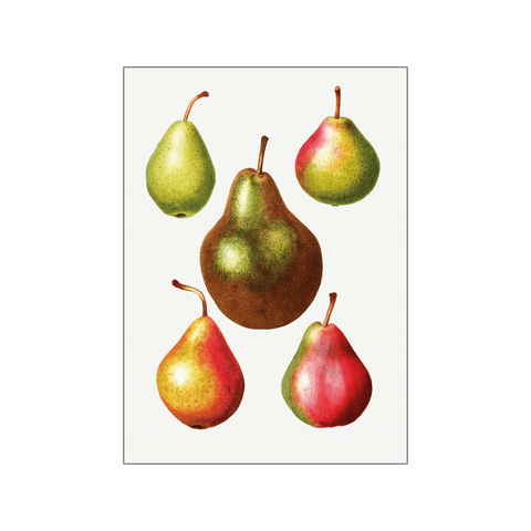 Pear Pyrus Pear Pyrus Communis 05 — Art print by Pierre-Joseph Redoute de Kerchove de Denterghem from Poster & Frame