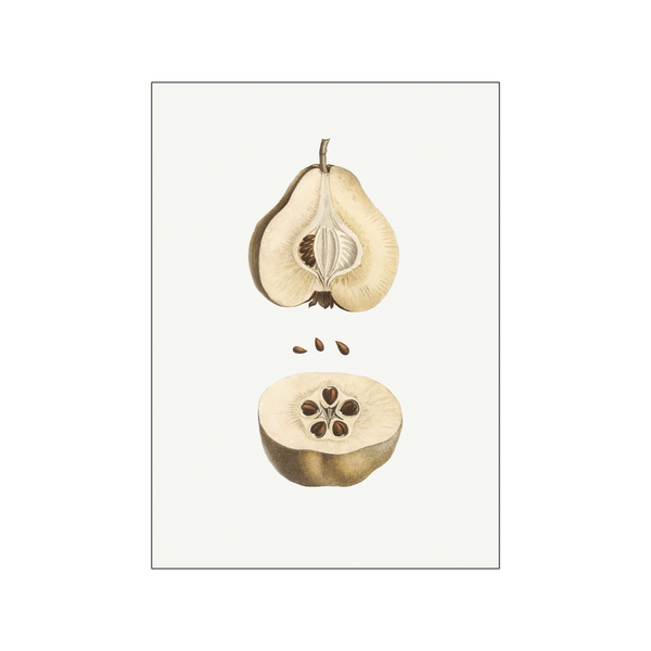Pear fruit 01 — Art print by Pierre-Joseph Redoute de Kerchove de Denterghem from Poster & Frame