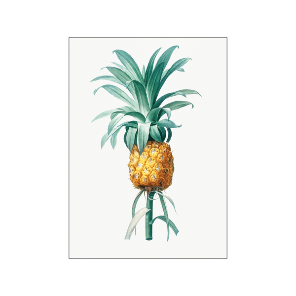 Pineapple — Art print by Pierre-Joseph Redoute de Kerchove de Denterghem from Poster & Frame