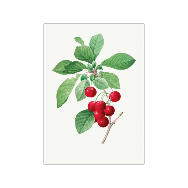 Red cherry — Art print by Pierre-Joseph Redoute de Kerchove de Denterghem from Poster & Frame