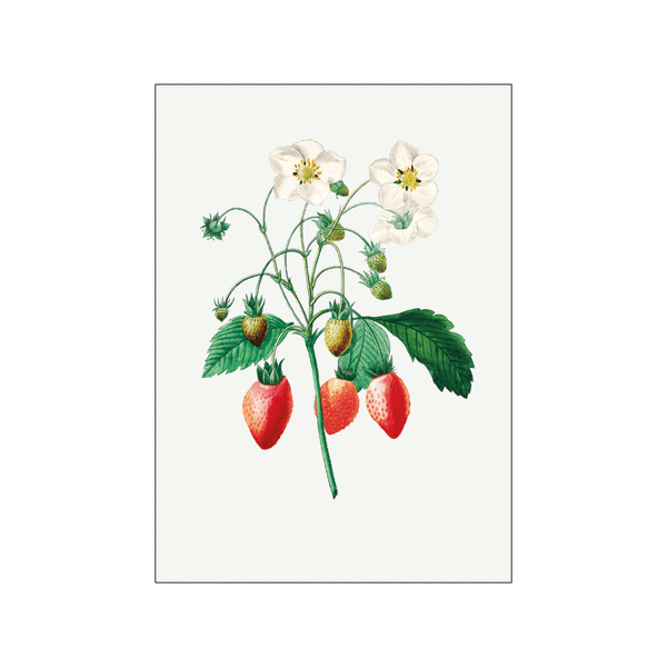 Strawberry — Art print by Pierre-Joseph Redoute de Kerchove de Denterghem from Poster & Frame