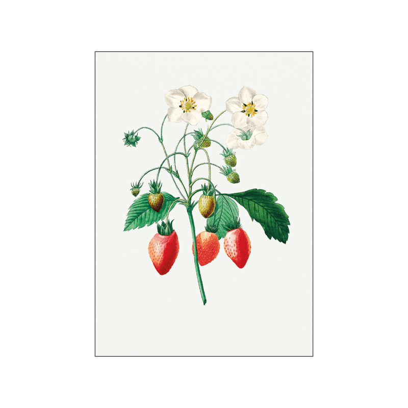 Strawberry — Art print by Pierre-Joseph Redoute de Kerchove de Denterghem from Poster & Frame