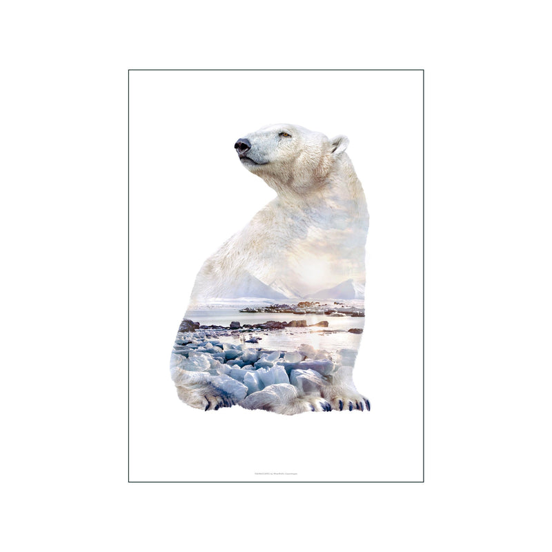 Polar Bear — Art print by Faunascapes from Poster & Frame