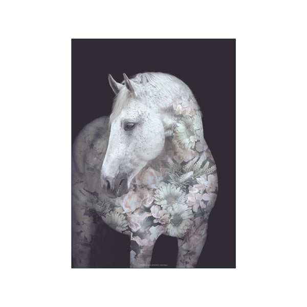 Portraits Andalusian Horse — Art print by Faunascapes from Poster & Frame