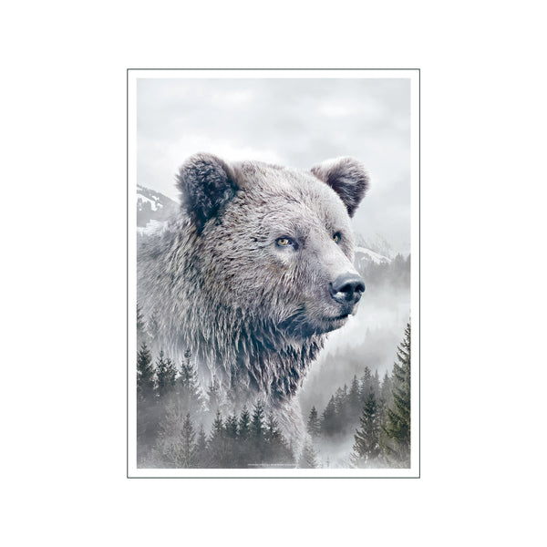 Portraits Brown Bear — Art print by Faunascapes from Poster & Frame