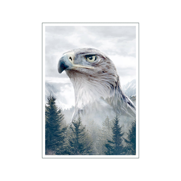 Portraits Caucasian Eagle — Art print by Faunascapes from Poster & Frame