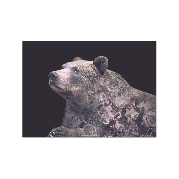 Portraits Grizzly Bear — Art print by Faunascapes from Poster & Frame