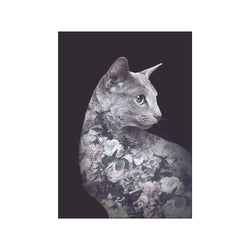 Portraits Silver Cat — Art print by Faunascapes from Poster & Frame