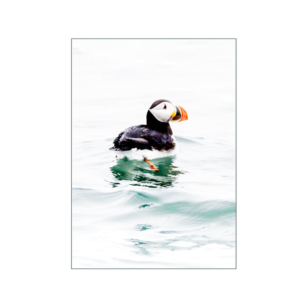 Possibly Puffin — Art print by Ben Jackson from Poster & Frame