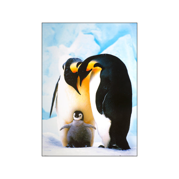 Penguin — Art print by Posterland from Poster & Frame