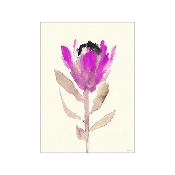 Protea Pink — Art print by Dorthe Svarrer from Poster & Frame