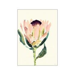 Protea — Art print by Dorthe Svarrer from Poster & Frame