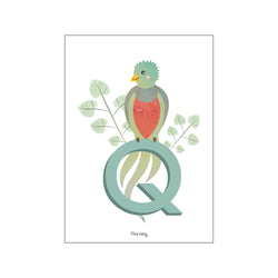 Q for Quetzal — Art print by Tiny Tails from Poster & Frame