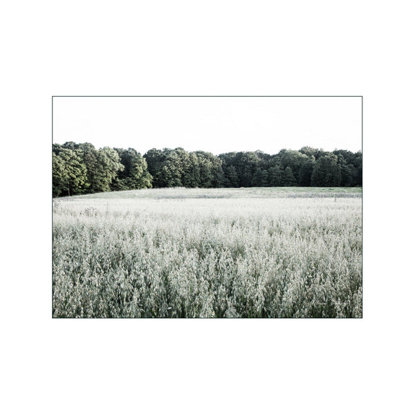 Quiet meadow — Art print by Monica Bindslev from Poster & Frame